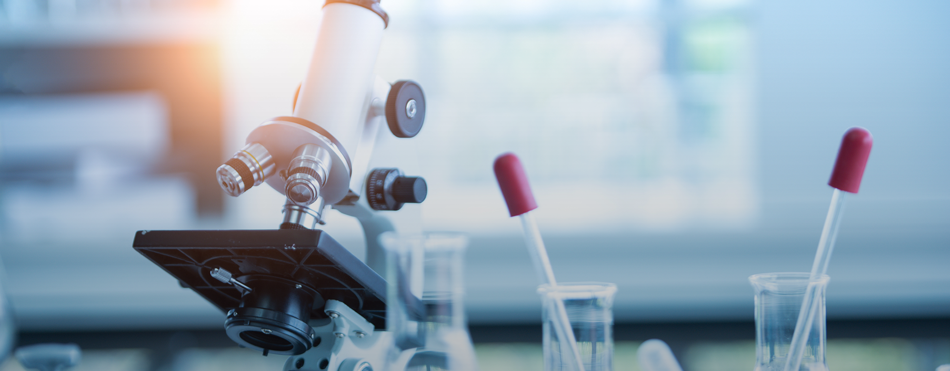 缁嗚優娌荤枟&nbsp;&nbsp;鎺ㄥ姩涓村簥杞寲